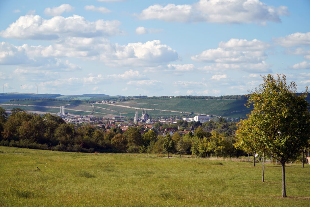 Die Drachenwiese am Hubland mit Ausblick über die Stadt