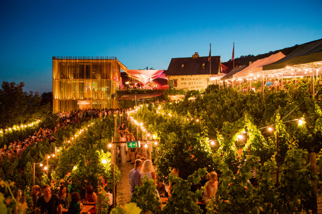 Wein am Stein