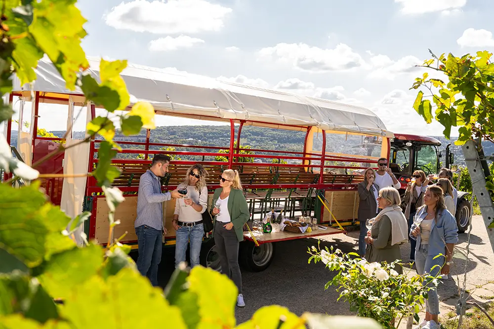 Planwagenfahrt zur Würzburger Weinlage am Stein mit Brotzeit und Wein